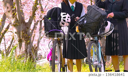 春の桜並木で自転車を押す女子高生二人 春の桜並木で自転車を押す女子高生二人 136418641