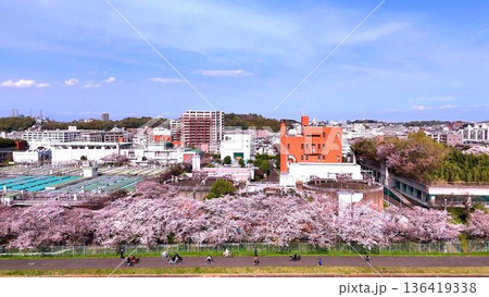 横浜市港北区│鶴見川の桜並木と新横浜エリアの風景│春のドローン空撮 横浜市港北区│鶴見川の桜並木と新横浜エリアの風景│春のドローン空撮 136419338