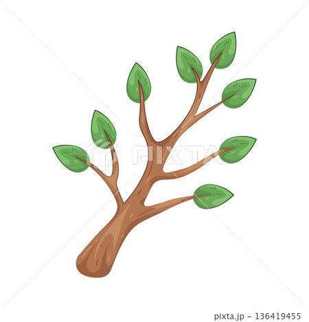 Illustration of tree branch with leaves Illustration of tree branch with leaves 136419455