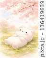 草むらに寝そべり満開の桜を見上げる　やさしい動物イラスト 136419639