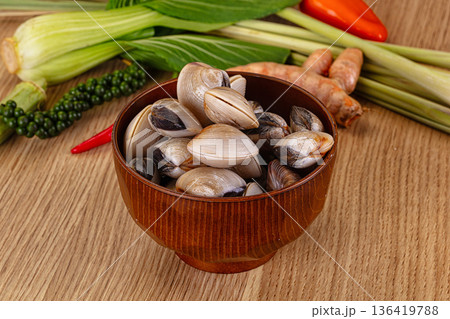 Raw fresh wild clams mollusc Raw fresh wild clams mollusc 136419788