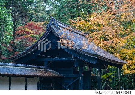 晩秋の大乗寺 晩秋の大乗寺 136420041