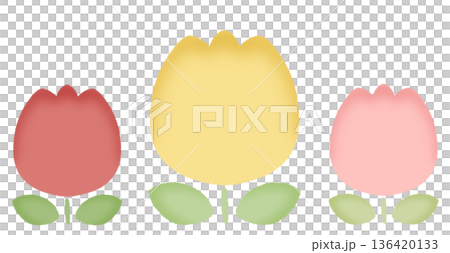 Tulips 3 colors 2 136420133