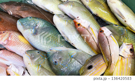 市場に並んだ新鮮でカラフルな沖縄の魚 136420583
