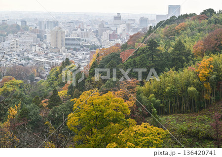 卯辰山の美しい紅葉 136420741