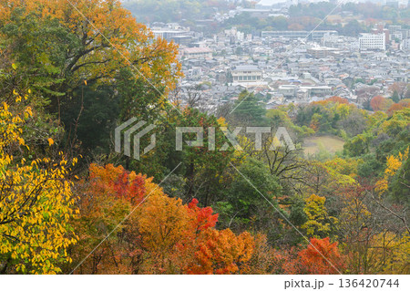 卯辰山の美しい紅葉 136420744