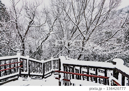 伊木山展望台の雪景色 伊木山展望台の雪景色 136420777