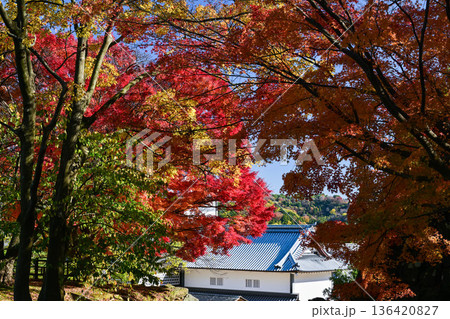 美しい紅葉が広がる金沢城公園 美しい紅葉が広がる金沢城公園 136420827