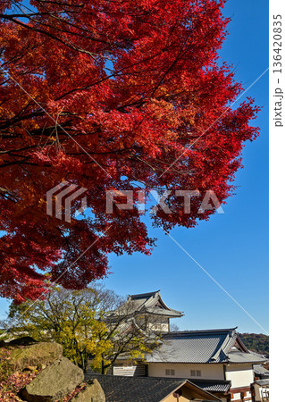 美しい紅葉が広がる金沢城公園 136420835