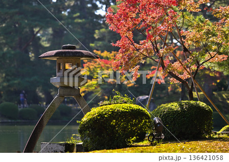 紅葉が美しい晩秋の兼六園 136421058