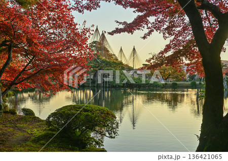 紅葉が美しい晩秋の兼六園 紅葉が美しい晩秋の兼六園 136421065