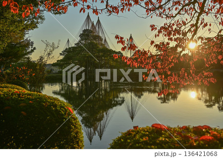 紅葉が美しい晩秋の兼六園 136421068