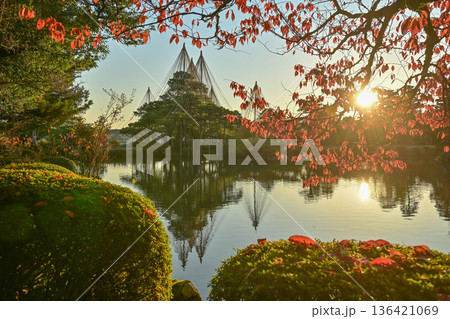 紅葉が美しい晩秋の兼六園 136421069
