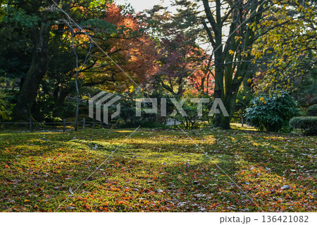 紅葉が美しい晩秋の兼六園 紅葉が美しい晩秋の兼六園 136421082