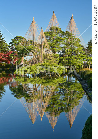 紅葉が美しい晩秋の兼六園 紅葉が美しい晩秋の兼六園 136421087
