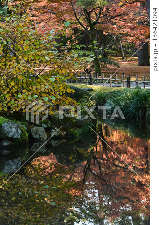 紅葉が美しい晩秋の兼六園 136421094