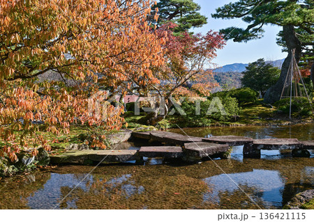 紅葉が美しい晩秋の兼六園 136421115