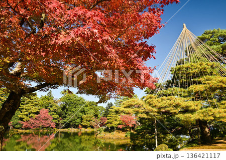 紅葉が美しい晩秋の兼六園 紅葉が美しい晩秋の兼六園 136421117