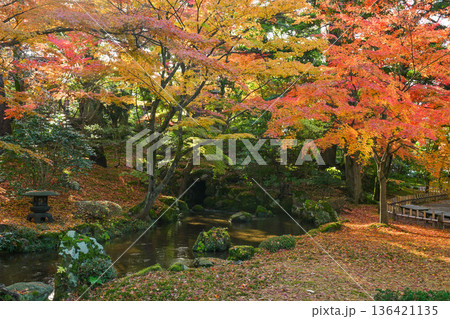 紅葉が美しい晩秋の兼六園 136421135