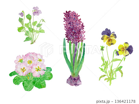 春の庭の花の水彩イラストセット 136421178