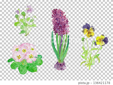 春の庭の花の水彩イラストセット 136421178