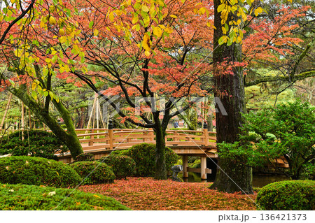 小雨降る紅葉が美しい晩秋の兼六園 136421373