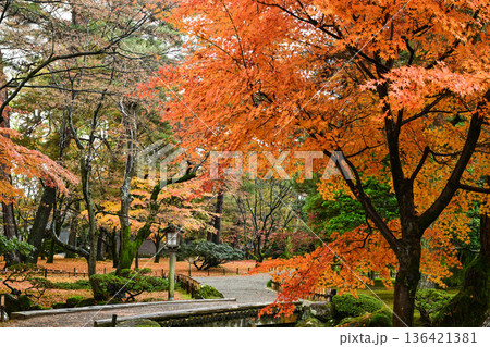 小雨降る紅葉が美しい晩秋の兼六園 小雨降る紅葉が美しい晩秋の兼六園 136421381