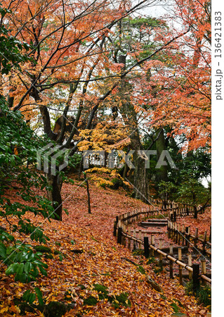 小雨降る紅葉が美しい晩秋の兼六園 小雨降る紅葉が美しい晩秋の兼六園 136421383