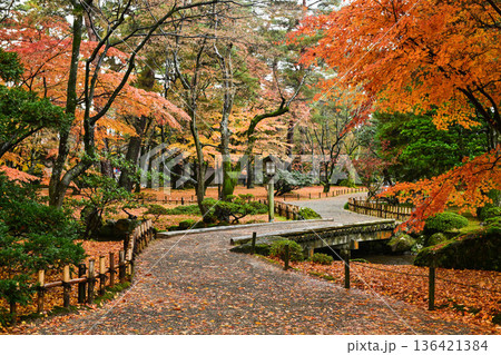 小雨降る紅葉が美しい晩秋の兼六園 136421384
