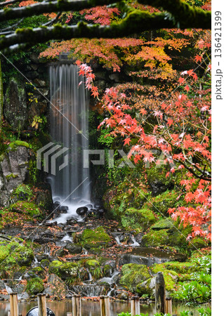 小雨降る紅葉が美しい晩秋の兼六園 小雨降る紅葉が美しい晩秋の兼六園 136421399