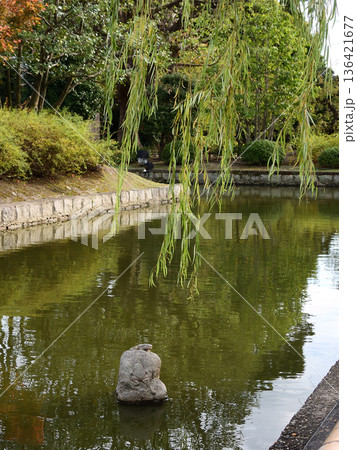 東寺　小野道風ゆかりの柳とカエル（彫刻） 136421677