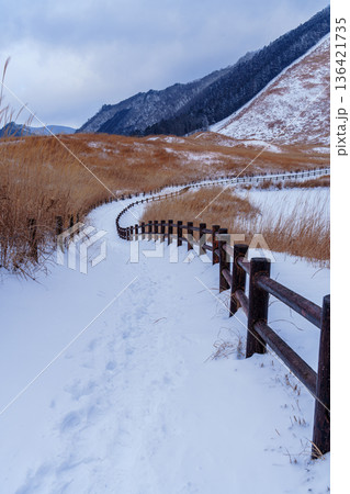 雪景色の曽爾高原 雪の積もった遊歩道と奥へと続く足跡 雪景色の曽爾高原 雪の積もった遊歩道と奥へと続く足跡 136421735