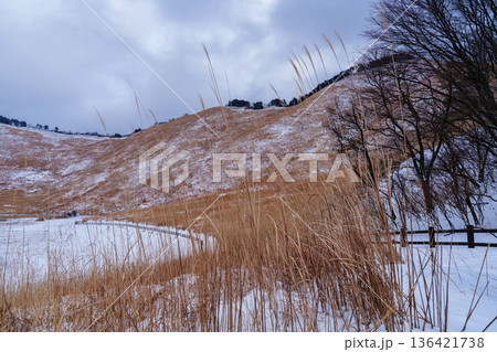 雪景色の曽爾高原 お亀池へと続く遊歩道と亀山 雪景色の曽爾高原 お亀池へと続く遊歩道と亀山 136421738