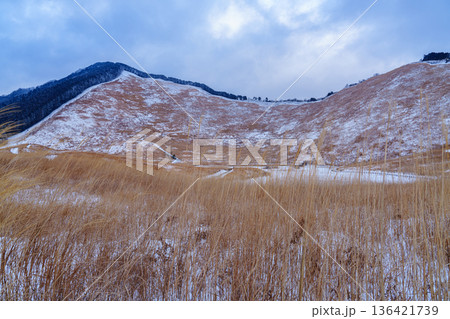 雪景色の曽爾高原　亀山峠へと続く登山道と雪の積もった高原① 136421739