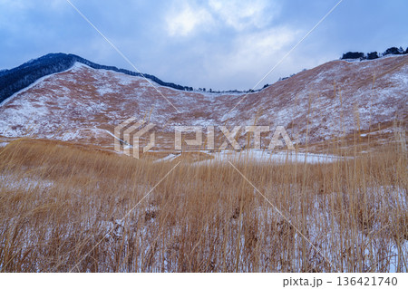 雪景色の曽爾高原 亀山峠へと続く登山道と雪の積もった高原② 雪景色の曽爾高原 亀山峠へと続く登山道と雪の積もった高原② 136421740