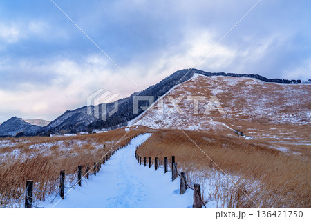 雪景色の曽爾高原　鉛色の空に覆われた高原 136421750