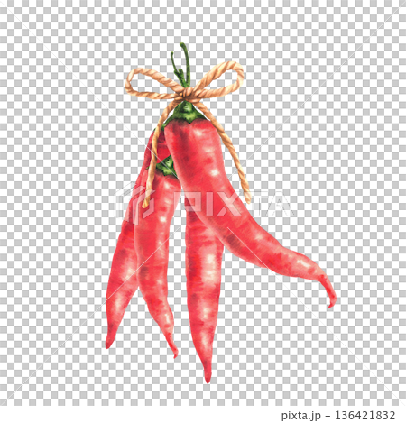Watercolor red hot chili peppers pods bunch tied together with rope. Hand painted illustration with spicy natural Asian vegetable seasoning. Isolated from background for food seasoning, Asian spices. 136421832