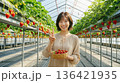 いちご狩りを楽しみながらピースサインをして微笑む日本人女性 136421935