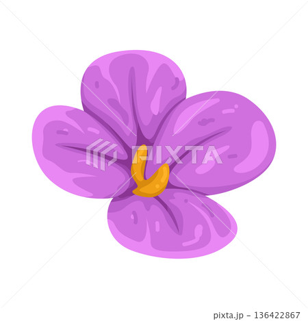 Illustration of violet flower 136422867