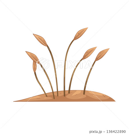 Illustration of Dead grass 136422890