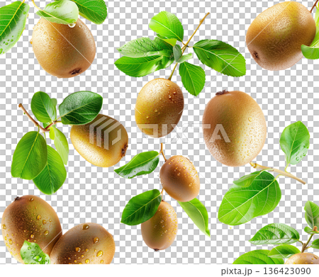 Ripe kiwi fruits with fresh green leaves and water droplets isolated on white background, freshness and organic fruit concept Ripe kiwi fruits with fresh green leaves and water droplets isolated on white background, freshness and organic fruit concept 136423090