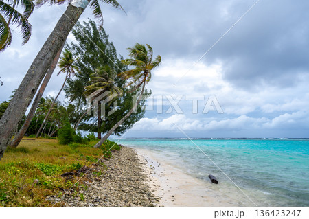 Coral garden beach with turquoise waters and palm trees on Huahine, French Polynesia Coral garden beach with turquoise waters and palm trees on Huahine, French Polynesia 136423247