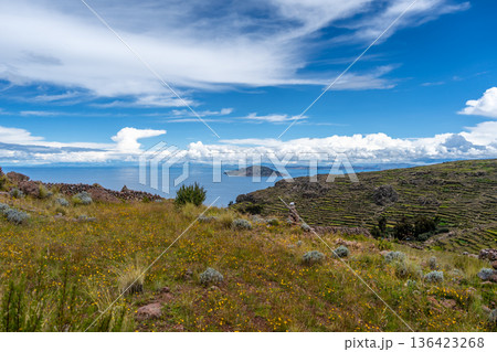 Terraced fields on Amantani Island overlooking Lake Titicaca, Peru 136423268