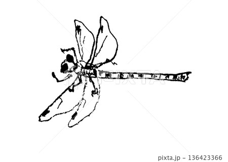 トンボの線画イラスト トンボの線画イラスト 136423366