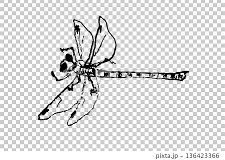 トンボの線画イラスト トンボの線画イラスト 136423366