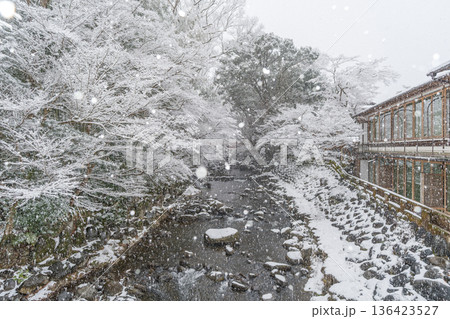 雪降る冬の修善寺 136423527