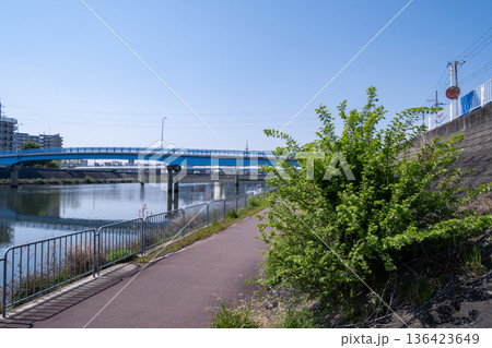 川岸の茂みと青い橋が見える河川敷の散歩道 136423649