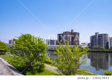 川沿いの緑豊かな散歩道と都市のマンション群 136423652