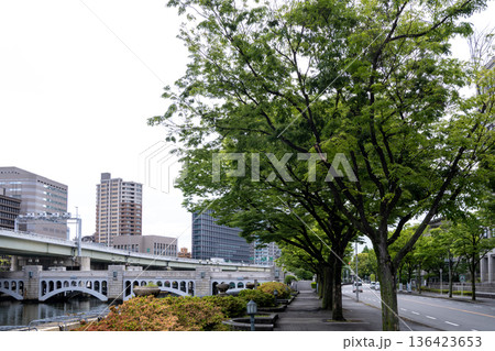 並木道と石造りの橋が美しい都市の川辺の風景 136423653