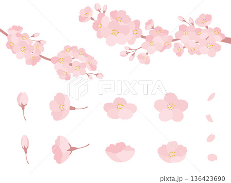 春の桜の枝先と花の個別パーツ満開斜めツボミ花びら枝のナチュラルなイラストベクターセット素材 春の桜の枝先と花の個別パーツ満開斜めツボミ花びら枝のナチュラルなイラストベクターセット素材 136423690